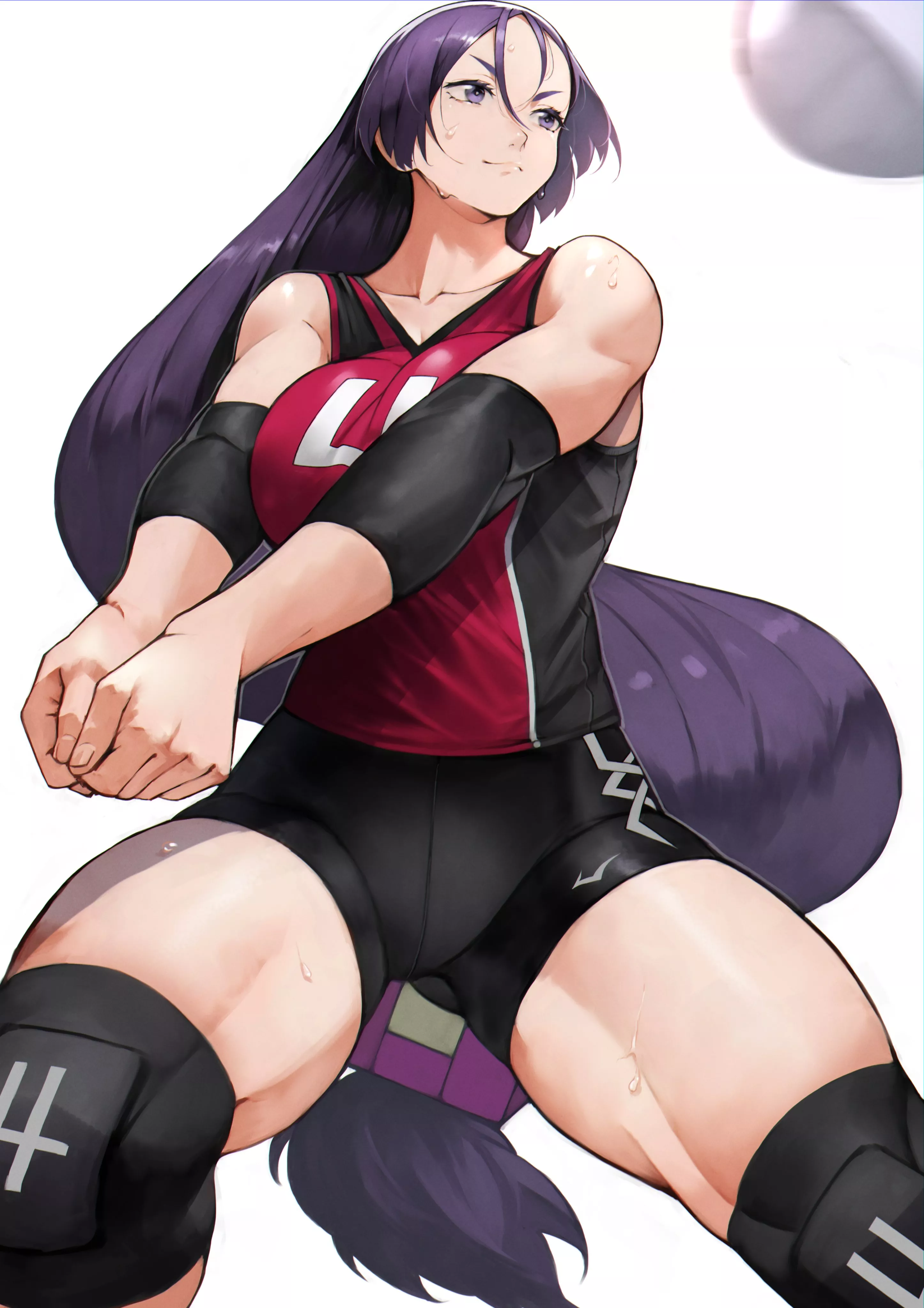 Volleyball Raikou. Volleyball Raikou.