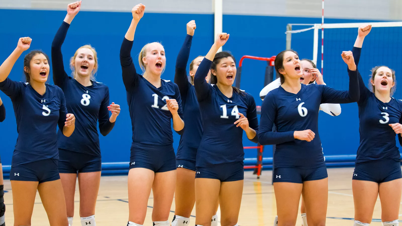 Volleyball Volleyball