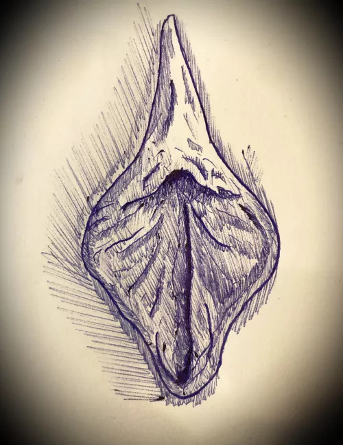 Vulva Study 🌺