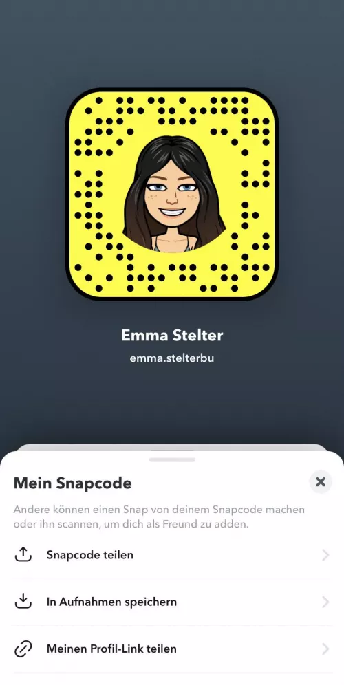 W22 Sextreffen, Bilder, Videos, Dropbox (Backup Acc)