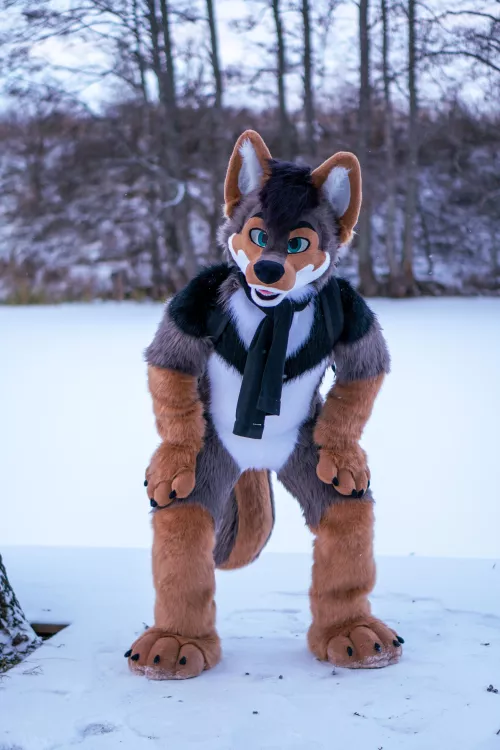 Wait, did you just call me a goodboy? [I'm new here! :3 my twitter if you want to follow: @Luciensheppy]