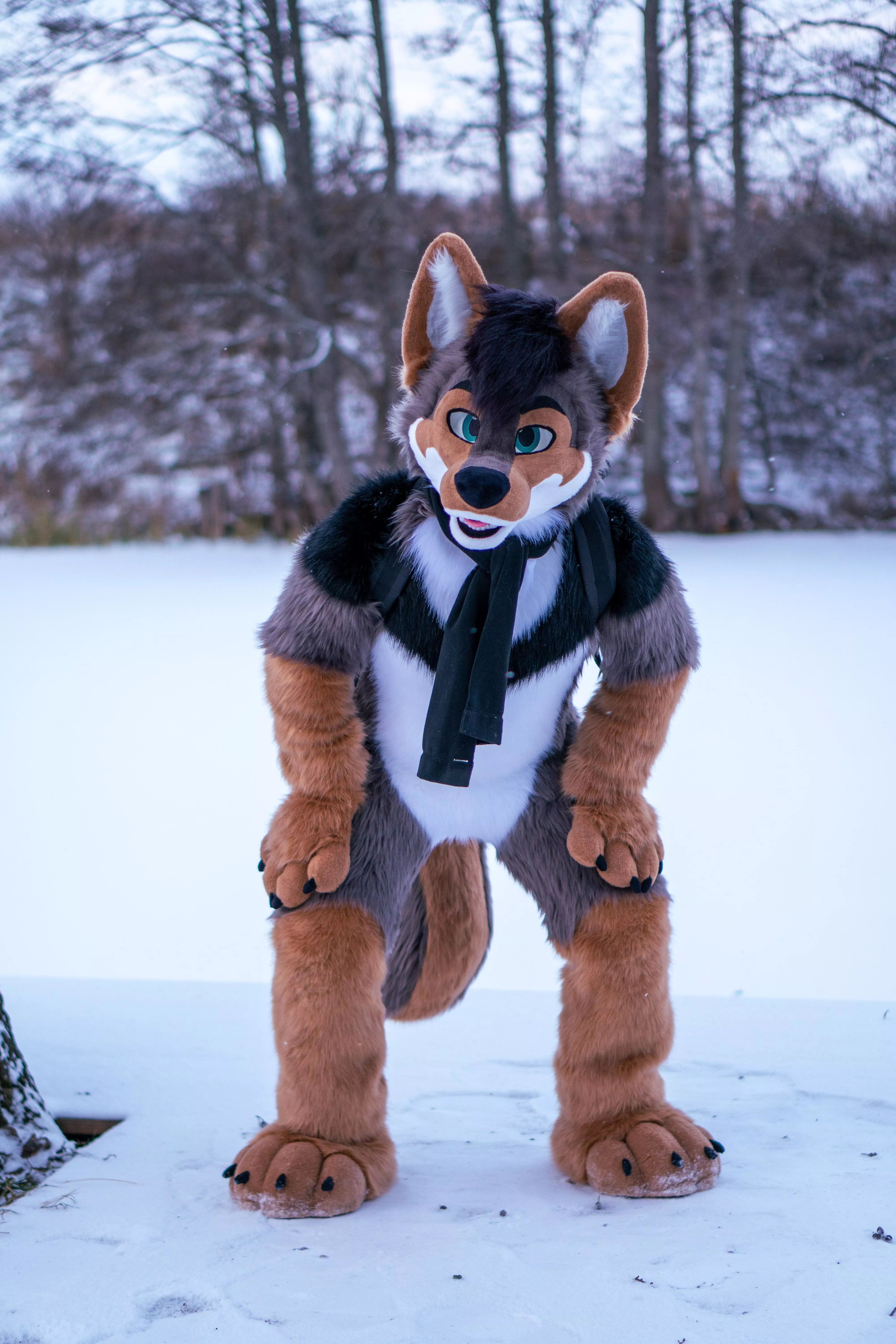 Wait, did you just call me a goodboy? [I'm new here! :3 my twitter if you want to follow: @Luciensheppy]