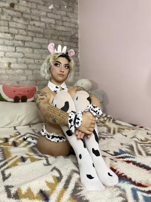 Waiting for my turn to volunteer as pet cow