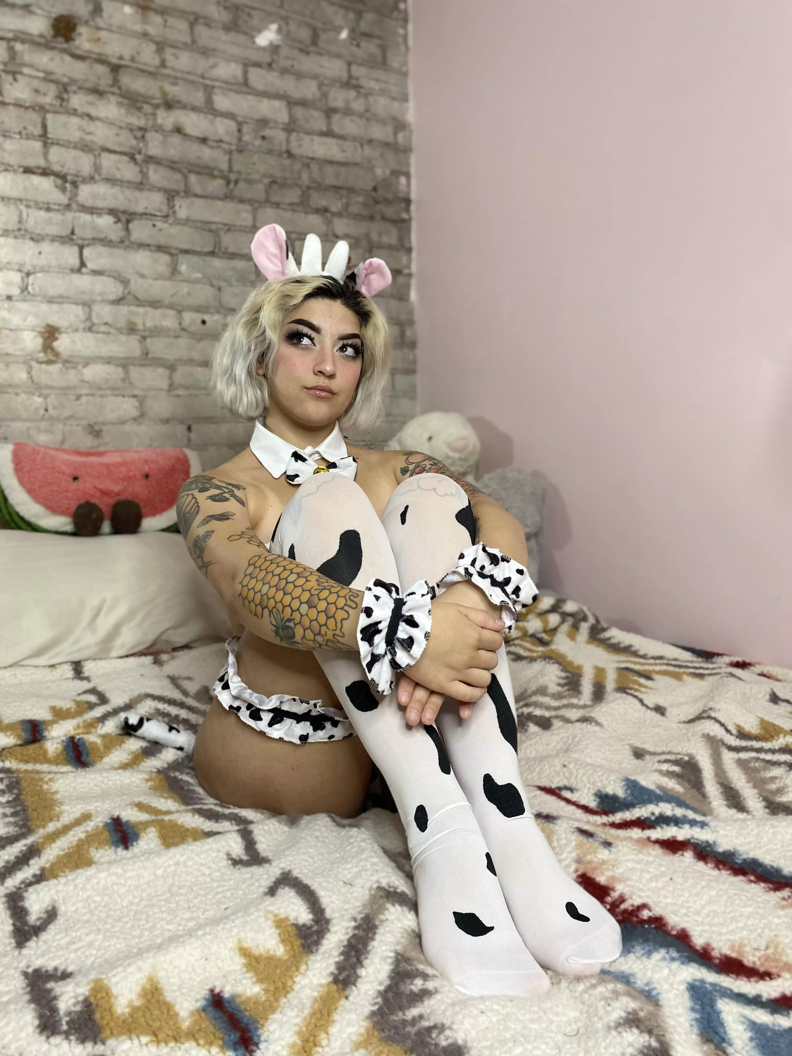 Waiting for my turn to volunteer as pet cow Waiting for my turn to volunteer as pet cow