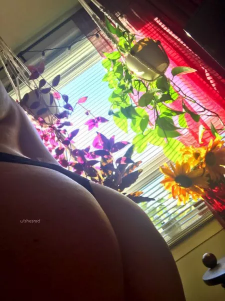 wake up and smell the roses with me ๐น