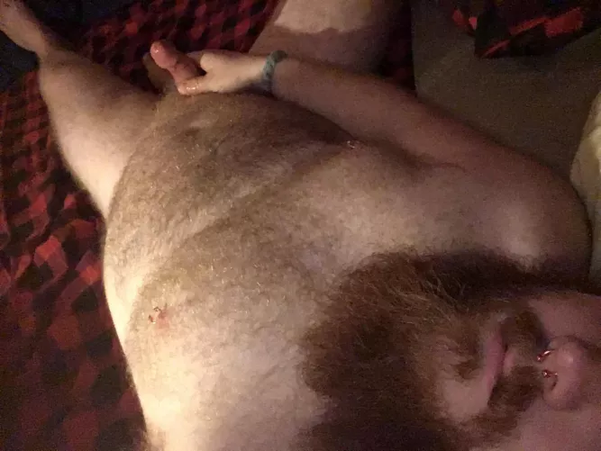 Waking up with a wild beard in need of taming