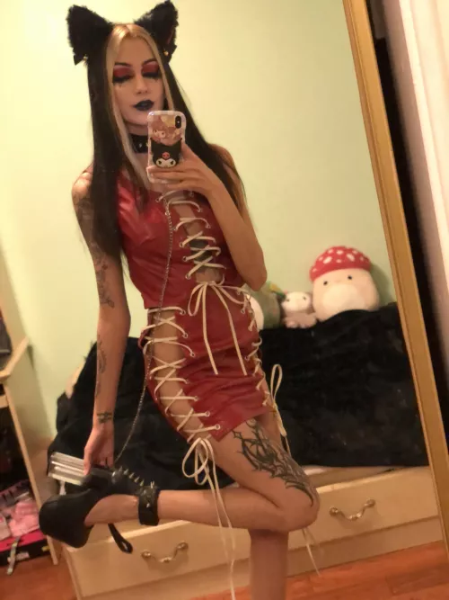 walk this kitten on a leash?β€οΈπ±