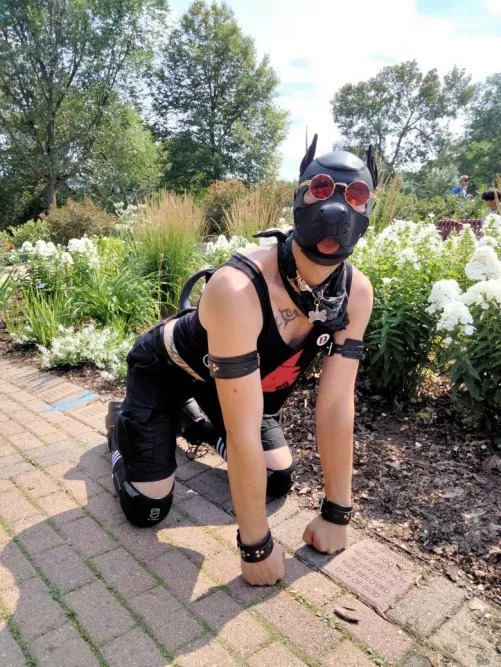 Walkies in the park?