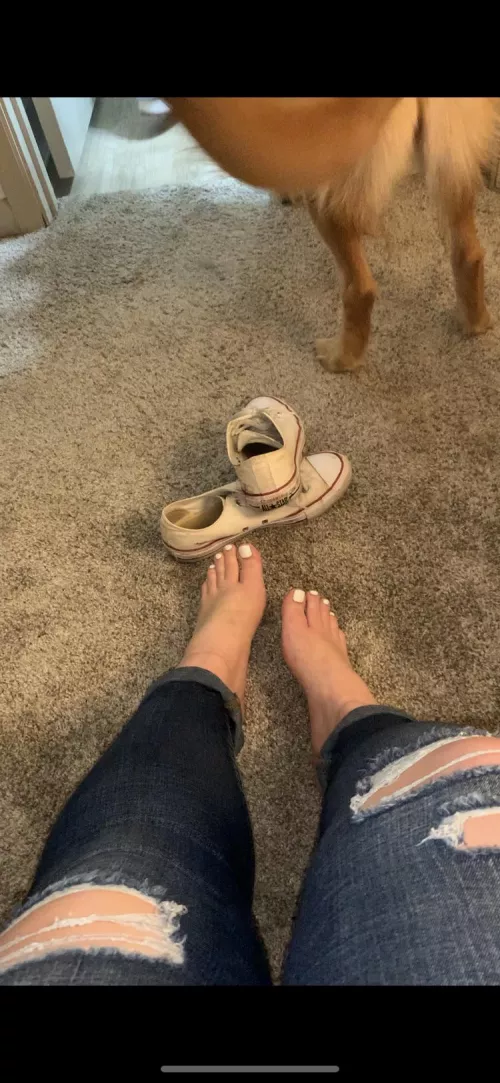 Walking around for 7 hours in converse is no joke 🥵