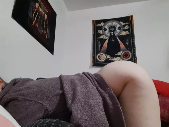 Wanna be my valentine and breed me tomorrow ? [oc] [f]