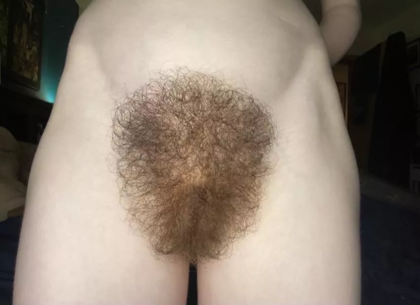 Wanna cum all over my bush??