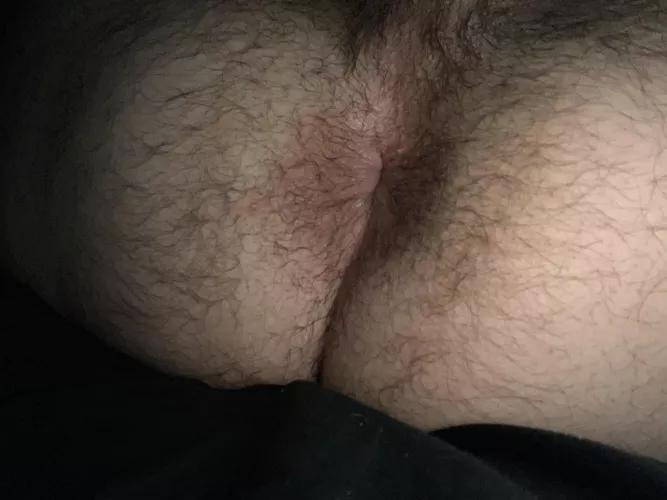 Wanna eat my hairy ass??ππ