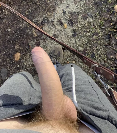 Wanna go on a walk with the dogs and me?