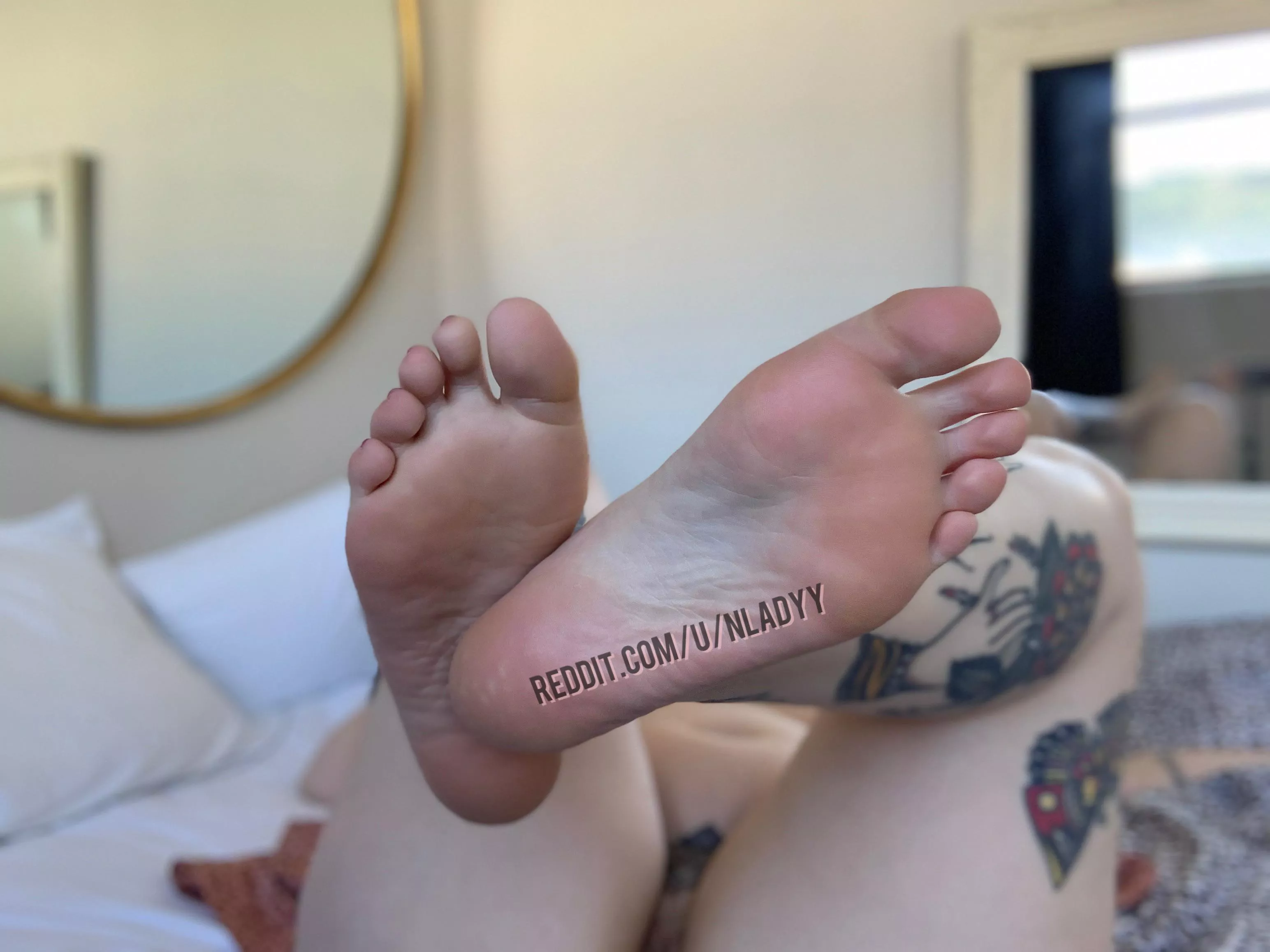 Wanna lick them? Wanna lick them?