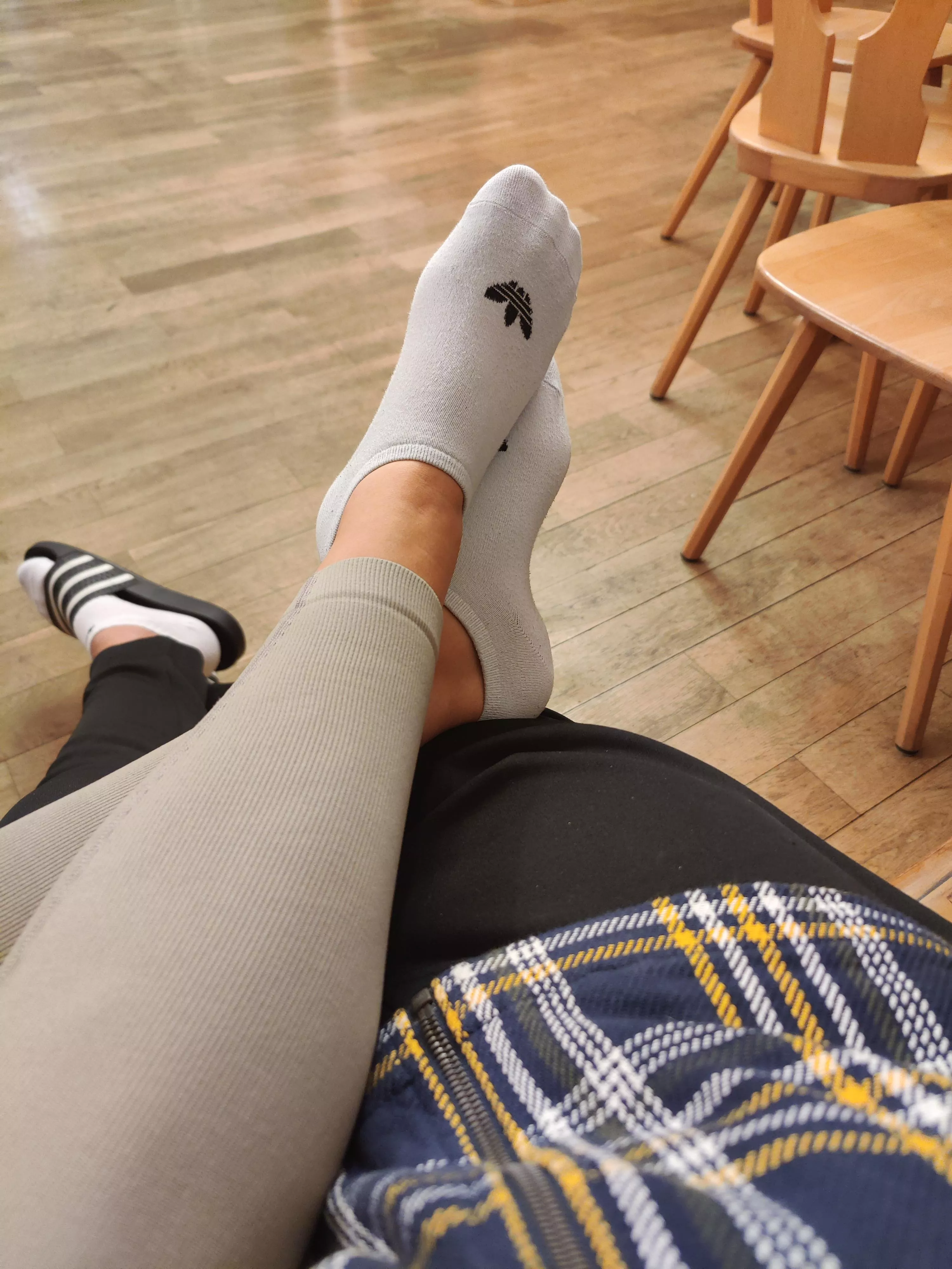 Wanna sniff? Had a long Walk today Wanna sniff? Had a long Walk today