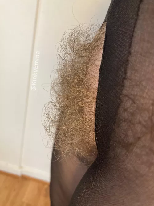 Wanna stroke my big bush on your face