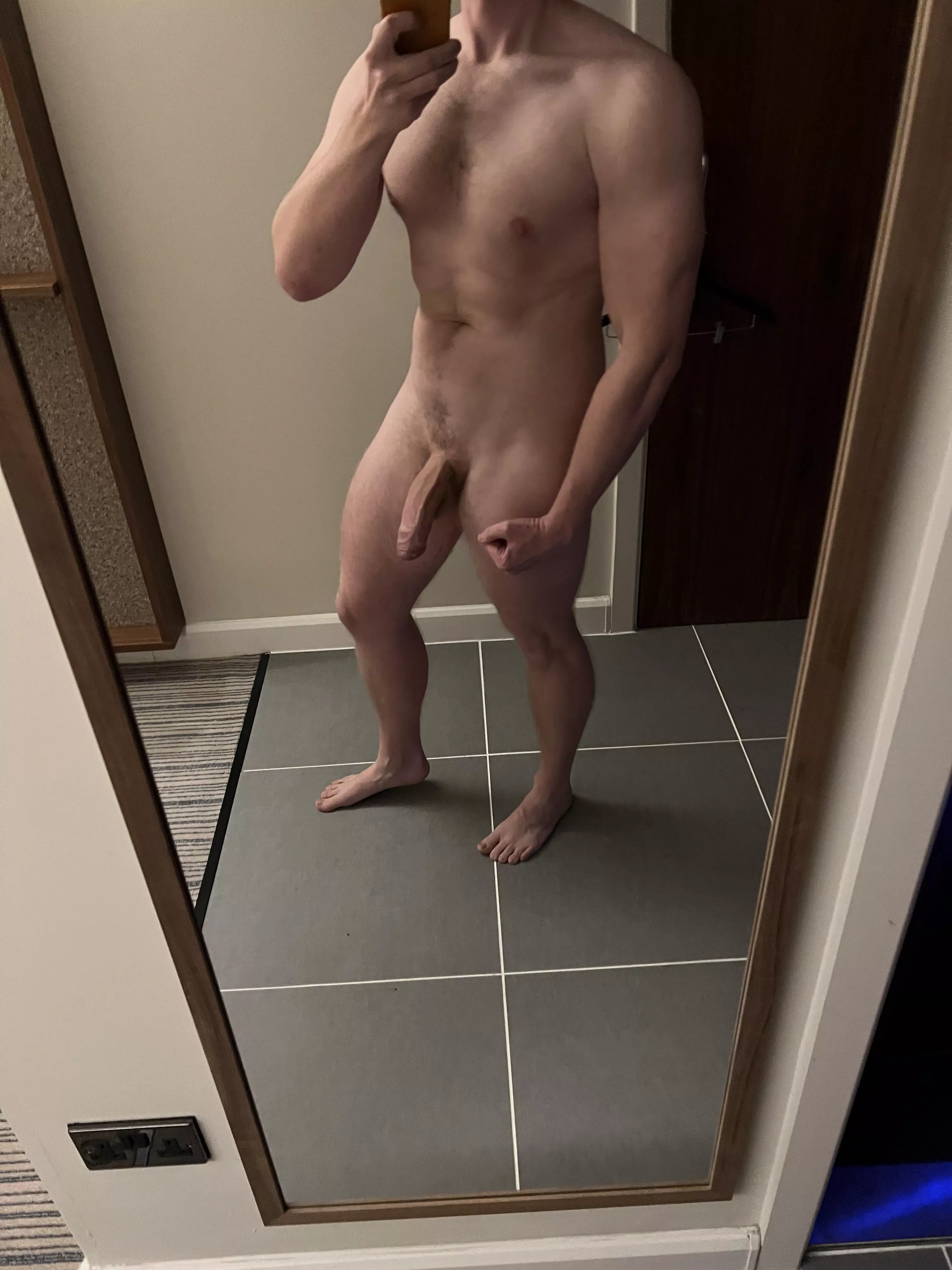 Want a bull in a hotel room? Let me know 😉