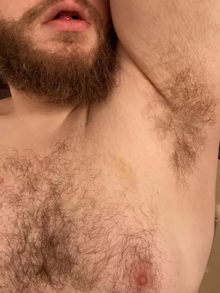 Want some bearamones? π