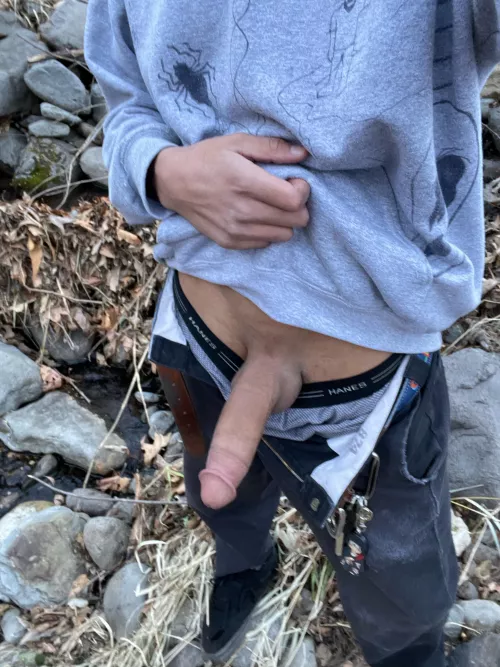 Want to come hiking with me? (19)