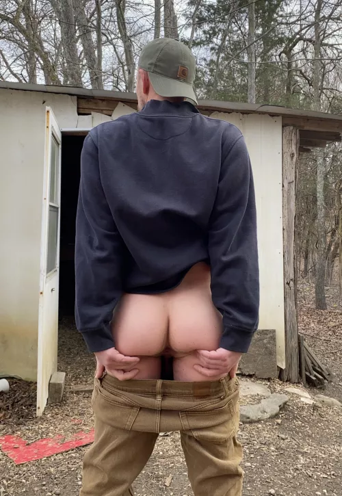 Want to go for a walk in the woods with me?