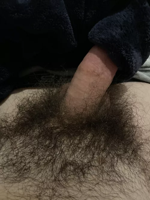 want to see the biggest tree in the forest? ;)