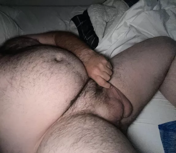 Wanted to be bred for Christmas!