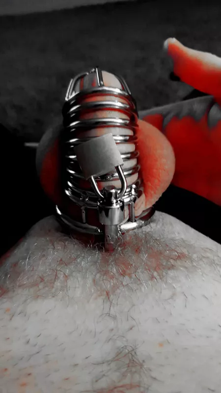 Was allowed a fisting toy in my ass tonightπ€π»π€π»π€π».... now I'm locked up again π likelihood boy πππ