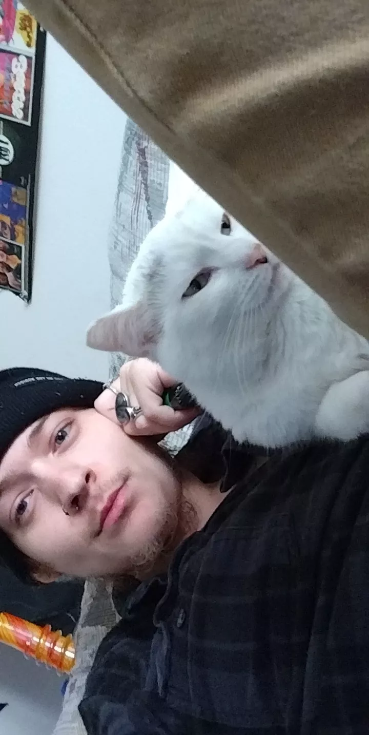 we don't deserve animals