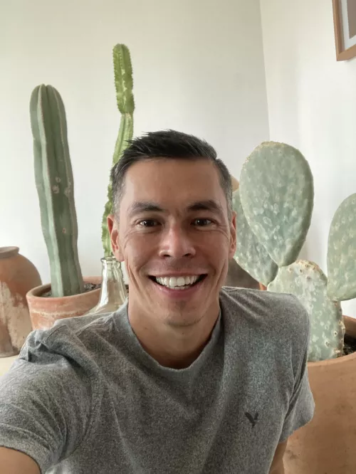 we have a cactus garden in the house! we have a cactus garden in the house!