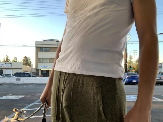 Wearing these every day from now on.