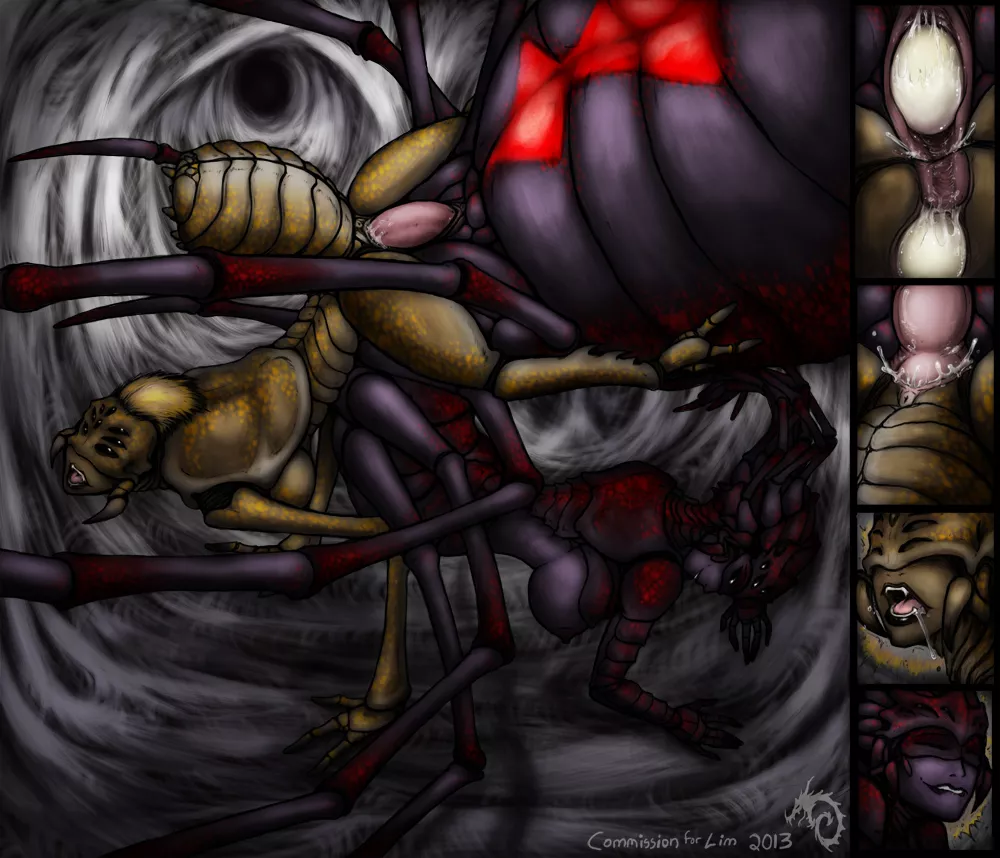 Webbed Lair Webbed Lair