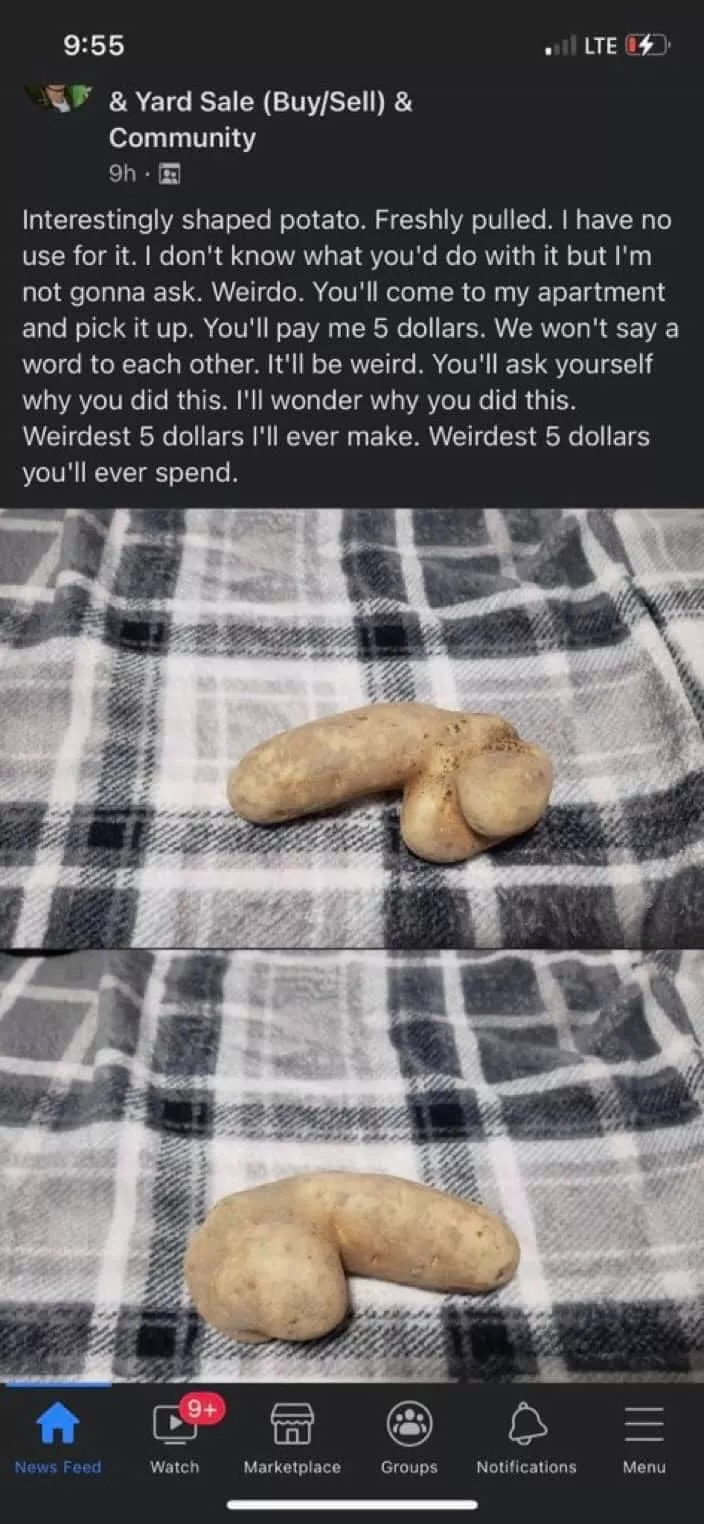 Weirdest 5 Dollars You'll Ever Spend Weirdest 5 Dollars You'll Ever Spend