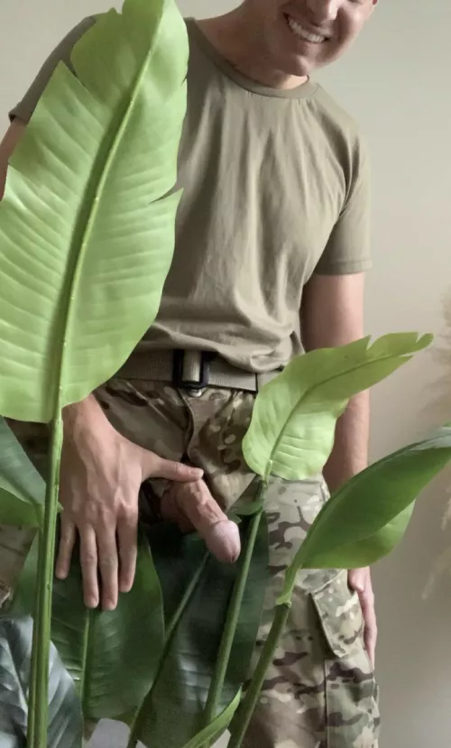 Welcome to the jungle