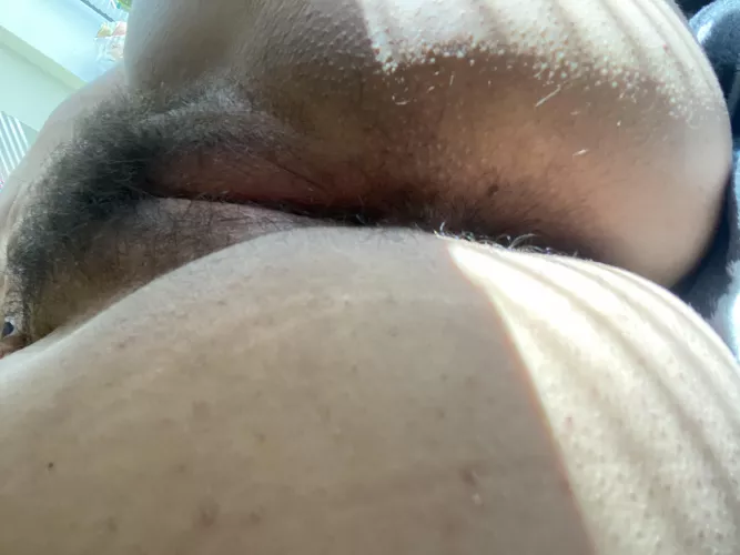 Welcome to the jungle!