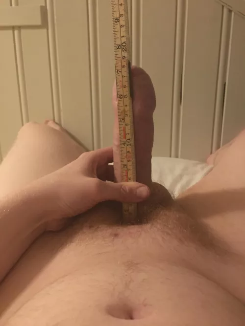 Well above average, but not to big.