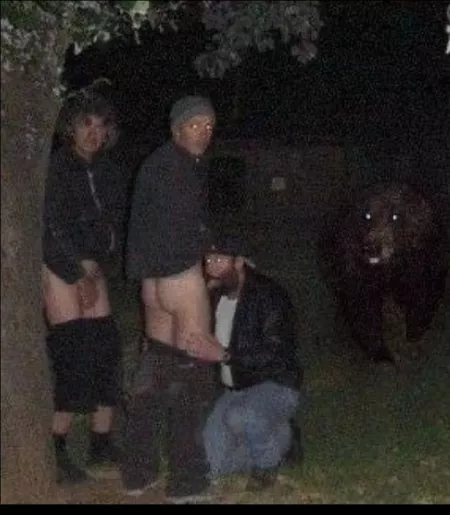 Well, it's not these bears we have to worry about in Australia. Well, it's not these bears we have to worry about in Australia.