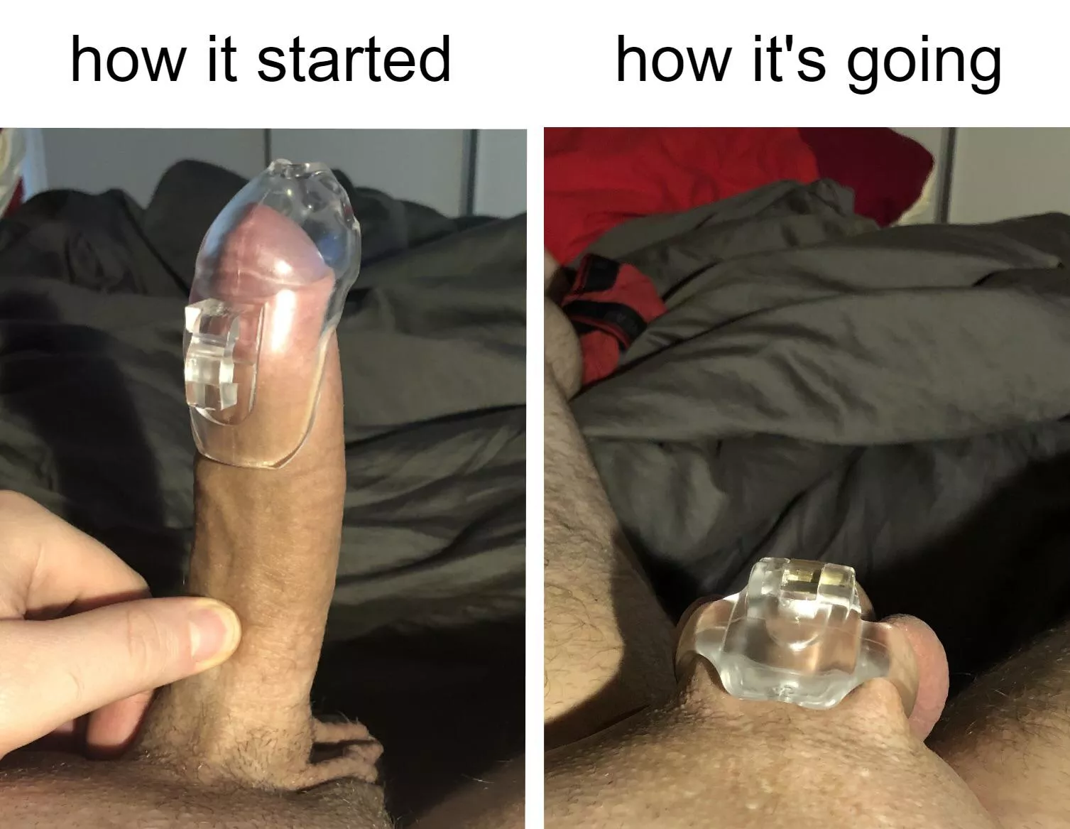 Well well well Well well well