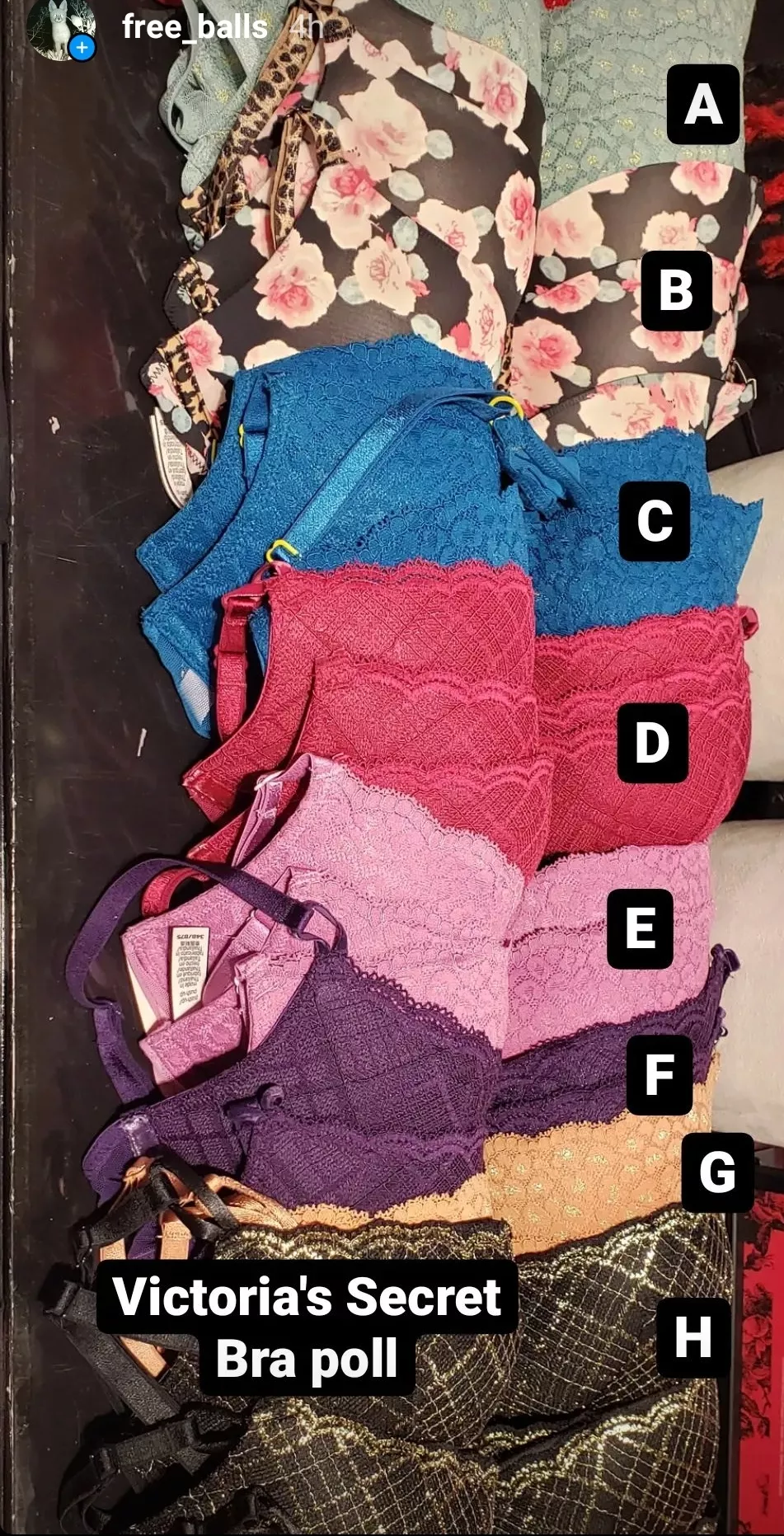 Went shopping today...which bra is the boss bra? Went shopping today...which bra is the boss bra?