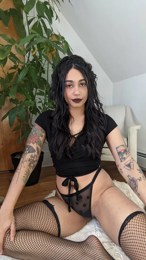 West African x German