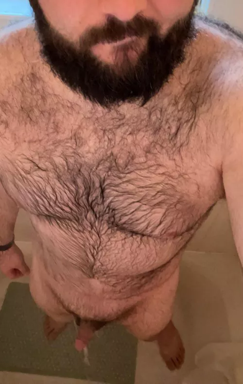 Wet bear