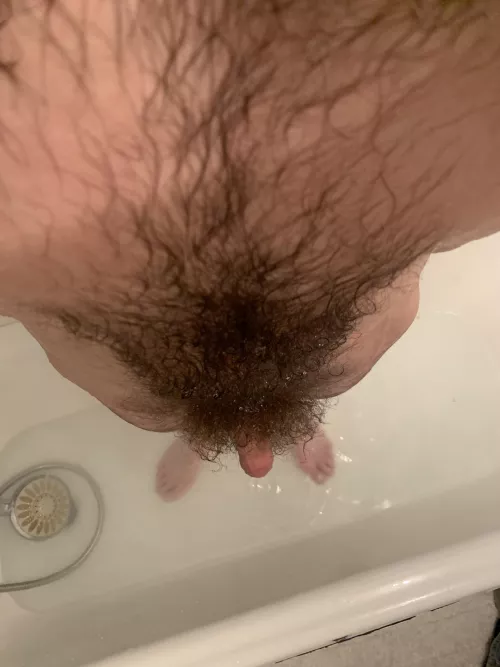 Wet fur