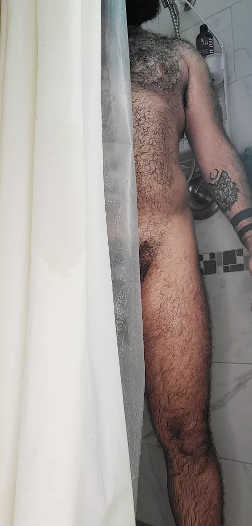 wet fur