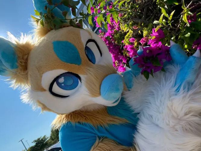 What a pretty flower UwU