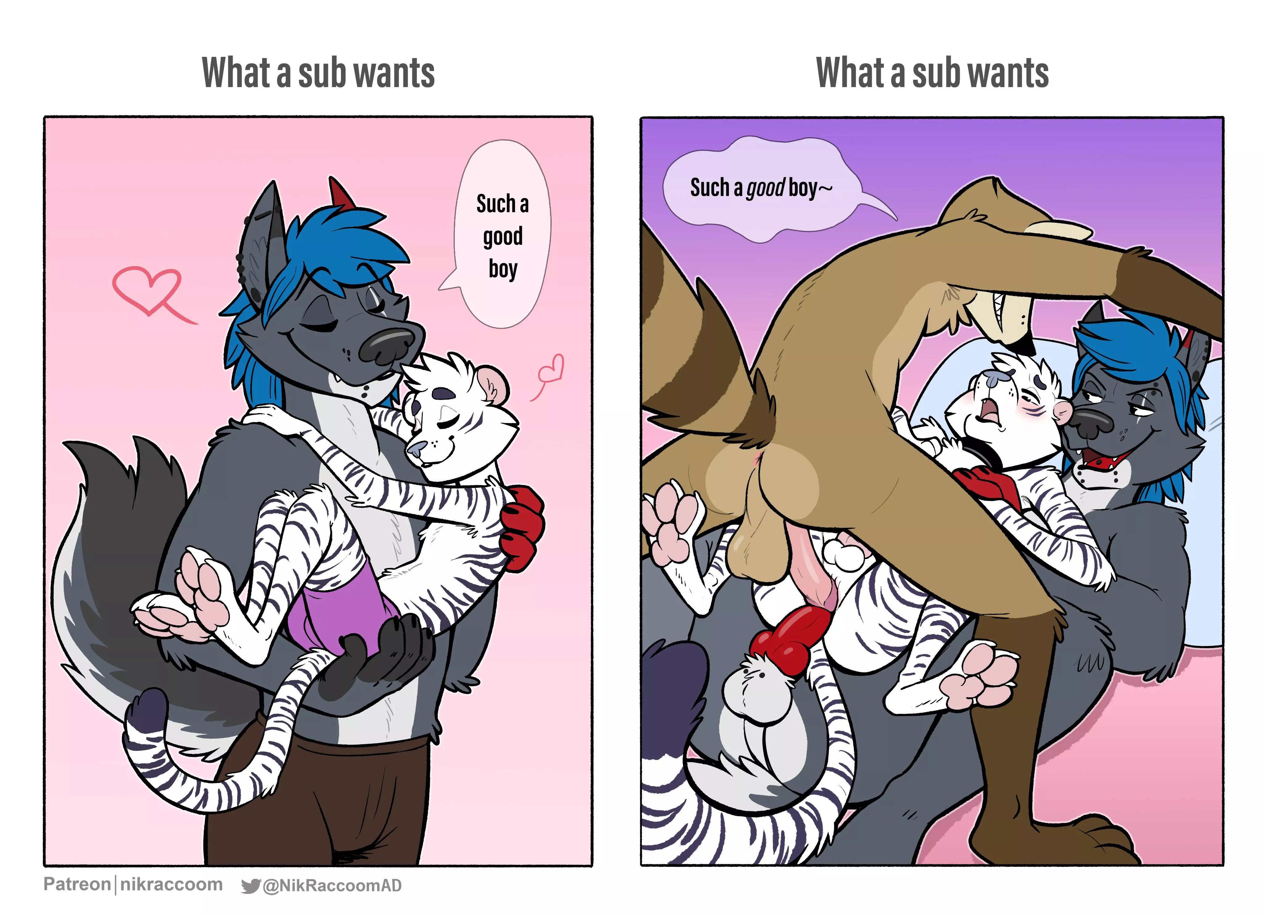 What a Sub Wants (Nik Raccoom)