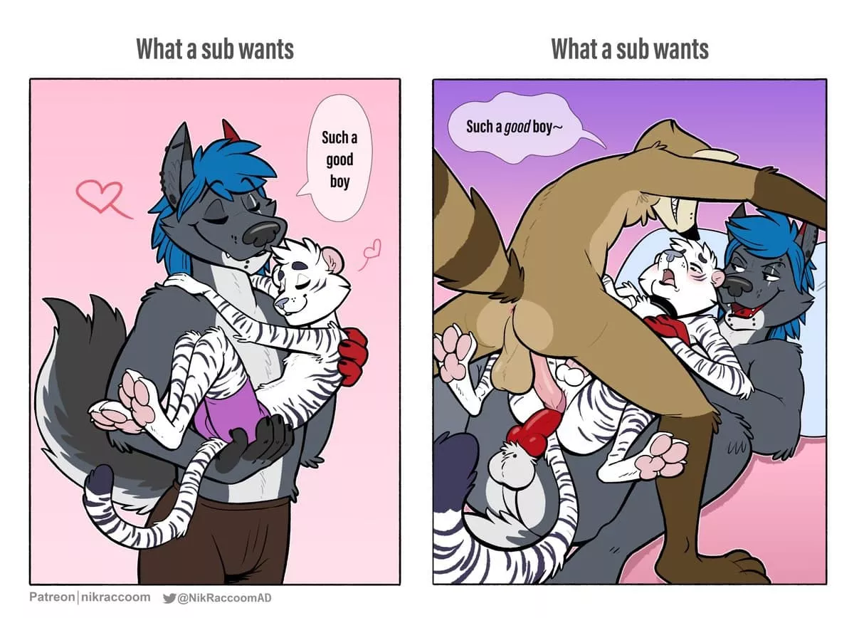 What a sub wants (nik159)