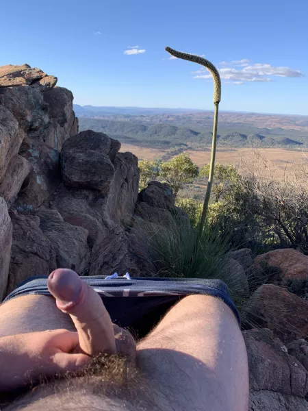 What a view π