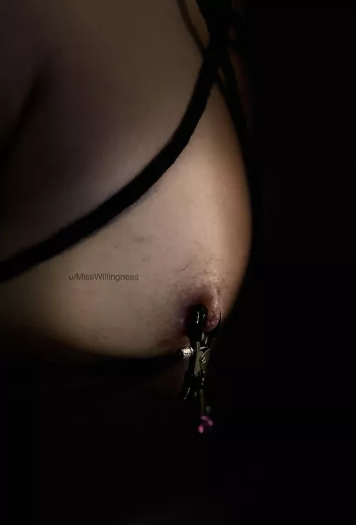 What about the other one, Daddy?