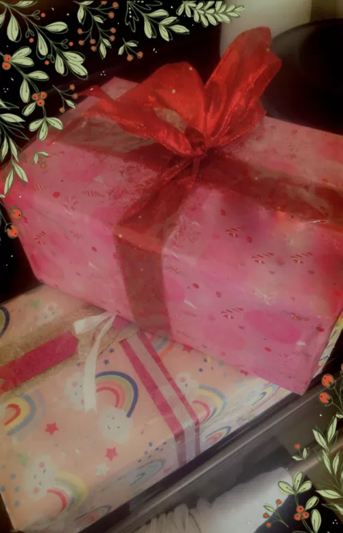 What are y’all doing with your good boys this holiday season?