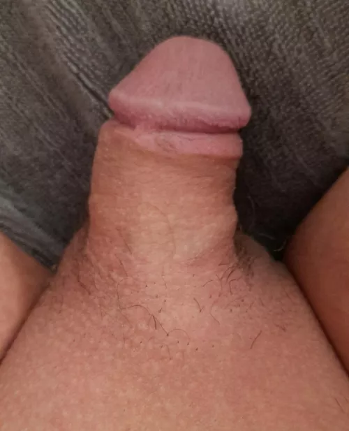 What are your thoughts? (22)