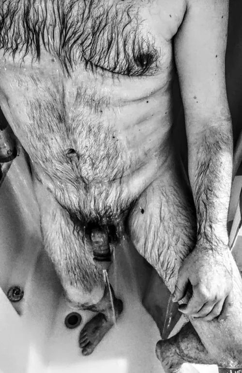 What are your thoughts on wet fur?